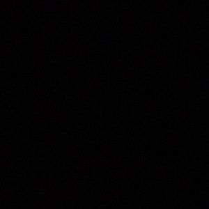 Meet your Posher, Wayne